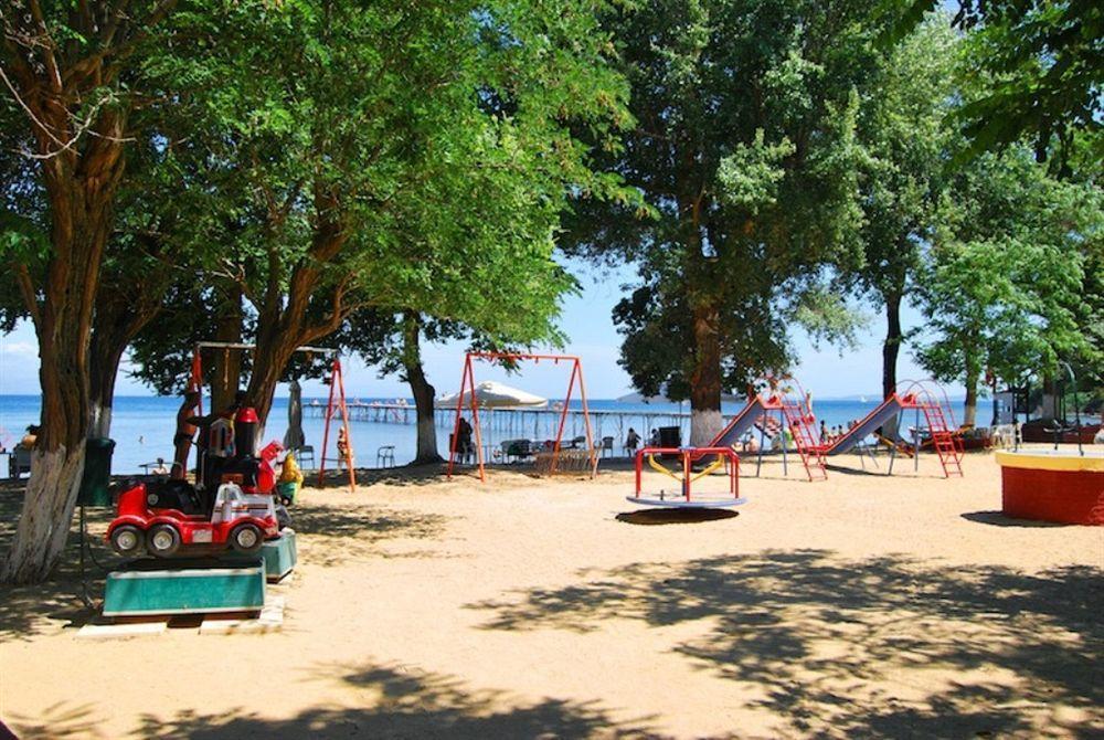Arion 3*